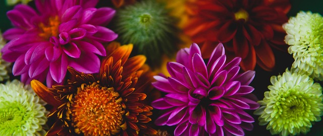 广东队33分大胜狂风晋级CBA决赛